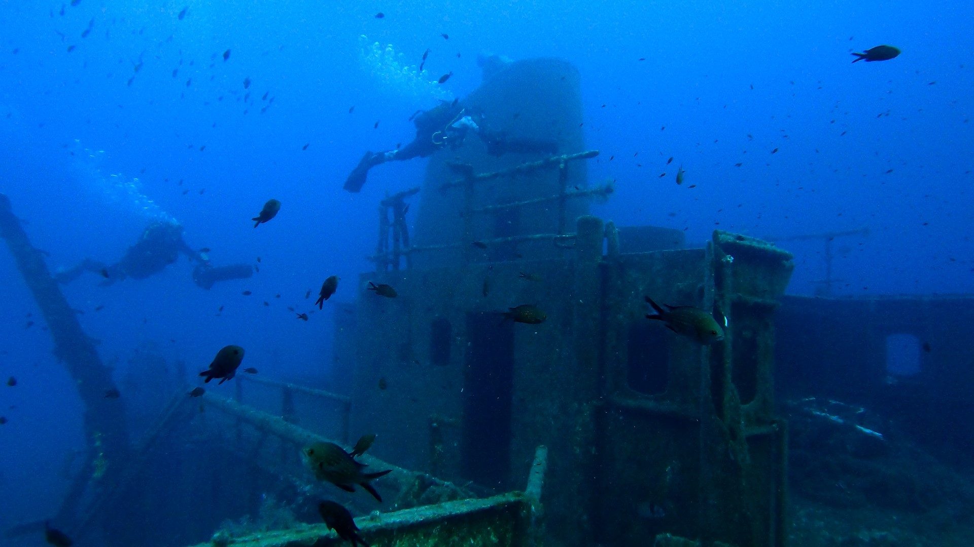 Thumbnail for The Malta Airport Foundation launches six-part mini-documentary series Submerged World